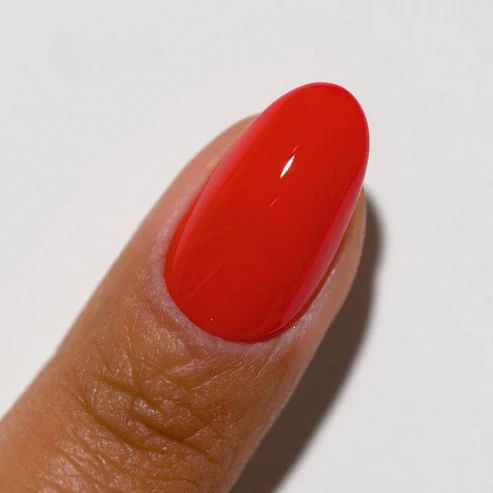 DND DIVA 249 Red-Y Or Not - Image 3