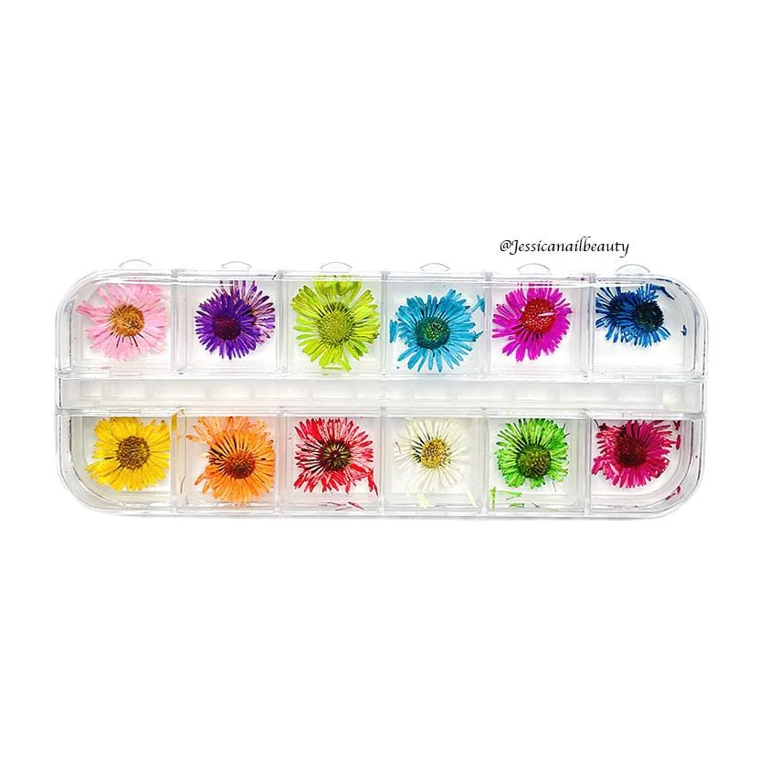 JNBS Nail Art Dried Flower Set 03 ( Box of 12 Colors)