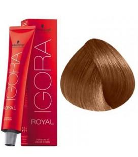 Schwarzkopf Permanent Color Igora Royal 7 - Image 2