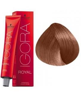 Schwarzkopf Permanent Color Igora Royal 7 - Image 3